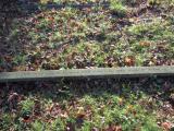 image of grave number 908243